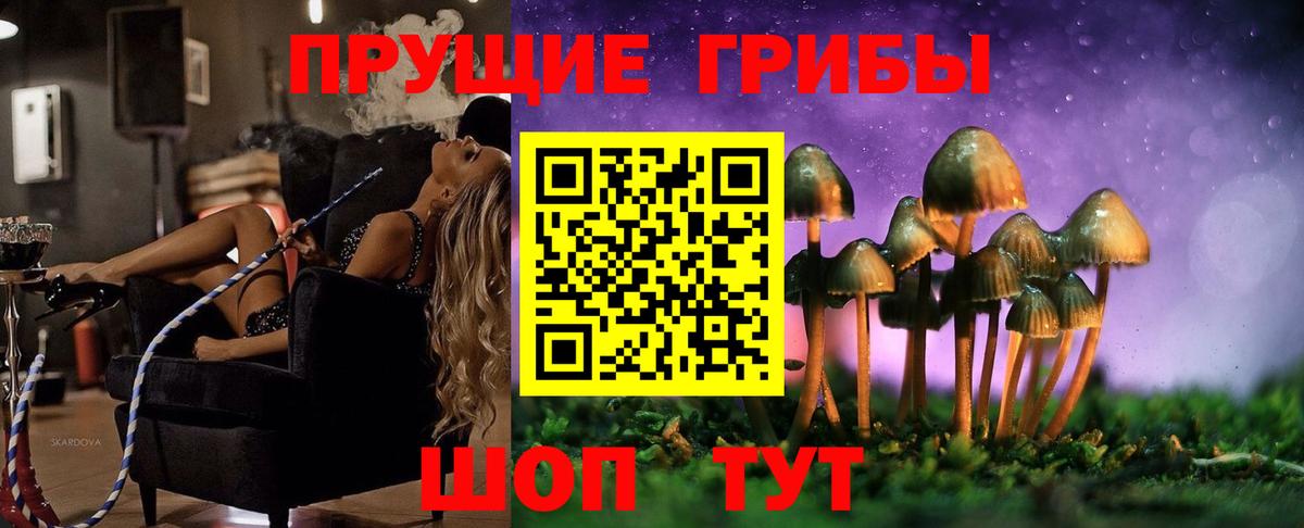 Псилоцибиновые грибы Psilocybine cubensis Можга